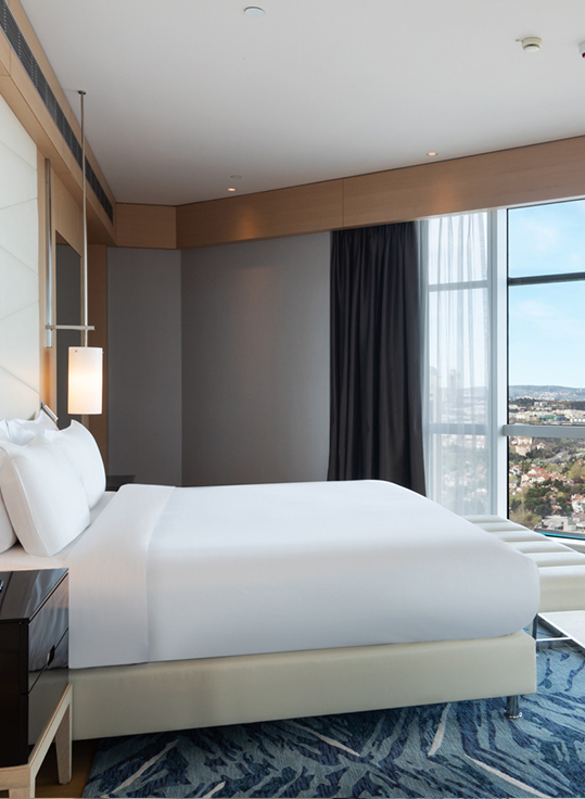 Complimentary Services for the <span>Tower Suite</span> Guests