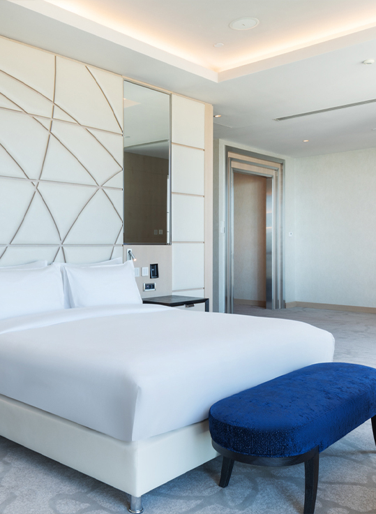 Free Services Offered to <span>Rumelian Presidential Suite</span> Guests
